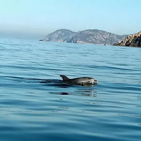 Scandola Appartement *