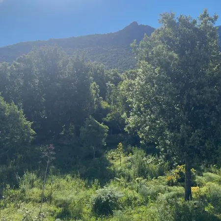 Scandola Apartamento *