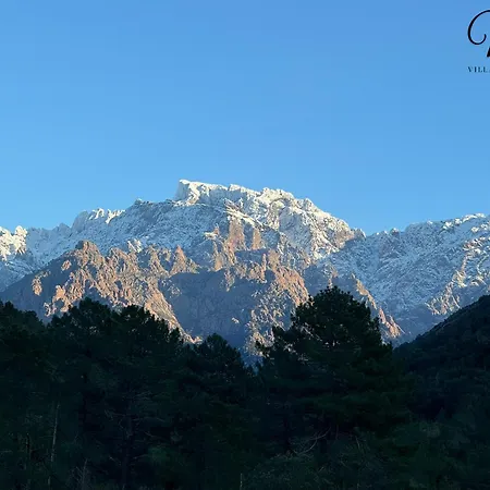 Apartamento Scandola