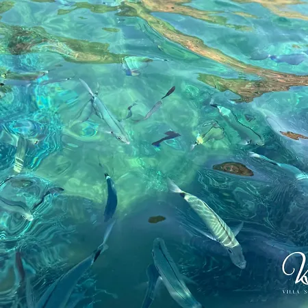 Scandola Apartamento *