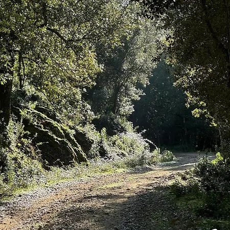 Scandola Apartamento