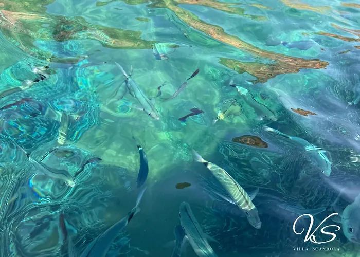 Scandola Apartmán *